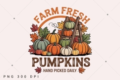 Farm Fresh Pumpkins PNG, Coquette Pumpkin Png, Coquette Fall Product Image 2