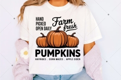 Fall Farm Fresh Pumpkins PNG Product Image 2