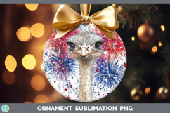 GorgeousFarm Patriotic Splash Ornament design.