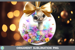 GorgeousFarm Rainbow Summer Ornament design.