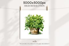 Farm Spring Green Plant Basket Vase Daisies Pansies Lilies PNG Scrapbooking Art Watercolor Transparent wedding invitation shirt designs romantic digital bloom
