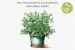 Farm Spring Green Plant Basket Vase Daisies Pansies Lilies PNG Scrapbooking Art Watercolor Transparent wedding invitation shirt designs romantic digital bloom