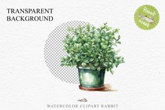 Farm Spring Green Plant Basket Vase Daisies Pansies Lilies PNG Scrapbooking Art Watercolor Transparent wedding invitation shirt designs romantic digital bloom