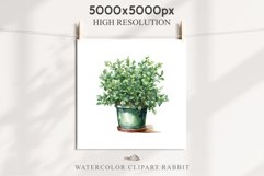 Farm Spring Green Plant Basket Vase Daisies Pansies Lilies PNG Scrapbooking Art Watercolor Transparent wedding invitation shirt designs romantic digital bloom