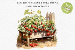 Farm Spring Strawberry Berries in Pot Vase Fruits Food PNG Scrapbooking Art Watercolor Transparent wedding invitation shirt designs romantic digital bloom