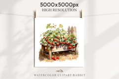Farm Spring Strawberry Berries in Pot Vase Fruits Food PNG Scrapbooking Art Watercolor Transparent wedding invitation shirt designs romantic digital bloom