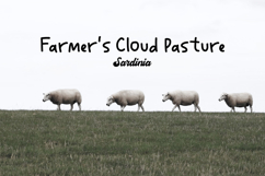 Farmer Marketica | Hand Drawn Display Font for Branding Product Image 4
