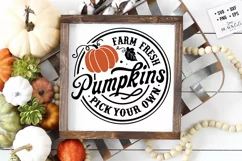 Farm fresh pumpkins svg, Farmhouse autumn svg Product Image 1