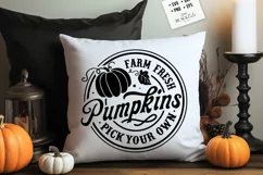 Farm fresh pumpkins svg, Farmhouse autumn svg Product Image 2