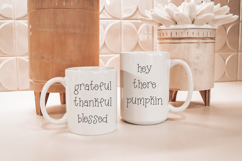 Farmhouse Family Serif Font Product Image 6