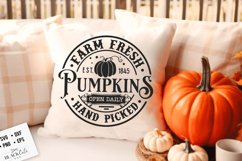 Farm fresh pumpkins svg, Farmhouse autumn svg , round label Product Image 1