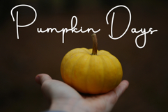 Fatality Product Image 3