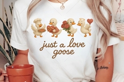 Faux Yarn Humorous Silly Goose Valentine PNG, Retro Love Product Image 2