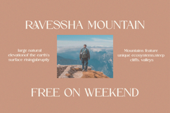 Favora || modern ligature typeface Product Image 4