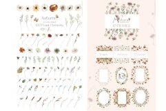 Autumn Wildflowers Watercolor Clip Art Product Image 6