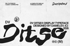 DV Ditse Product Image 1