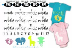 Baby Shirt Months 1-12 for Growing Pictures Product Image 1