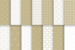 Vector ornamental seamless patterns Product Image 3