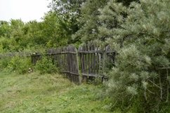 SET beautiful old gate from abandoned house in village Product Image 6