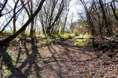 Photography on theme beautiful footpath in foliage woodland Product Image 1