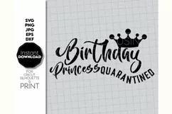 Birthday Princess Quarantined SVG, Birthday Shirt SVG Product Image 2