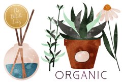 Apothecary &amp; Holistic Clipart Set Product Image 3