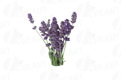Lavender leaves and bouquets watercolor clip art pack Product Image 8