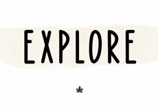 Bonfire - A Bold Handwritten Font - Free Font of The Week Product Image 4