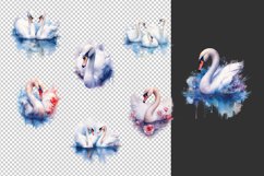 watercolor white swan clipart bundle png sublimation pod Product Image 2