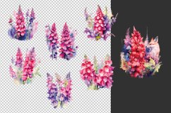 watercolor foxglove clipart bundle png sublimation pod Product Image 2