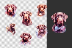 watercolor chocolate Labrador Retriever clipart bundle png Product Image 2