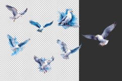 Seagull Watercolor Clipart Bundle Sublimation PNG Product Image 2