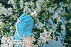 Women&#039;s hands in medical gloves and a pearl bracelet. Product Image 1