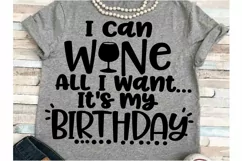 Birthday SVG DXF JPEG Silhouette Cameo Cricut wine svg girl Product Image 1