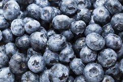 fresh blueberries can be eaten raw Product Image 1