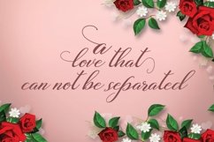 Web Font Profesi Script Product Image 2