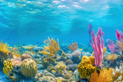 Underwater Plants Background Wallpaper Product Image 1