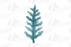 Cotton bolls and fir branch leafy autumn and winter decor Product Image 9