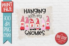 Hanging With My Gnomies Sublimation | Kids Valentine T-shirt Product Image 1