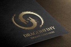 Dragon Infinity Logo Product Image 4