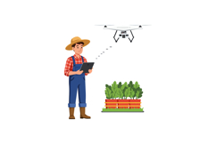Farmer using tablet to monitor drone above vibrant vegetable Product Image 1