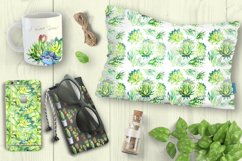 Watercolor Succulents Clip Art Set Product Image 11