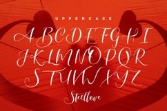 Web Font Steellove Product Image 4