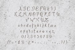 Web Font Loft Yian Script Typeface Product Image 5