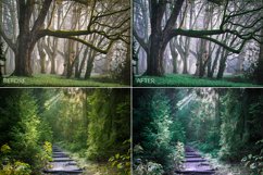 Dark Forest Lr Presets Product Image 7