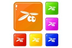 Olives icons set vector color Product Image 1