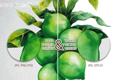Watercolor Macadamia collection Product Image 4