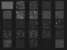200 WINTER SNOW TRANSPARENT PNG FILES, PHOTOSHOP OVERLAYS Product Image 6