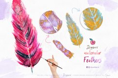 Watercolor Feathers Clipart, hand painted boho png 063 Product Image 2