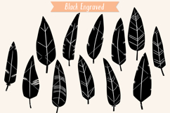 Hand Drawn Feathers | Bird Feathers Tattoo, Boho Aztec Decor Product Image 6